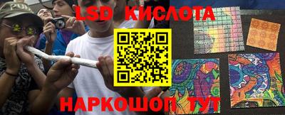 эйфоретик Можга
