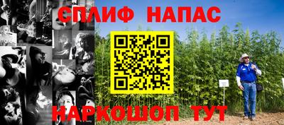 a pvp Моздок