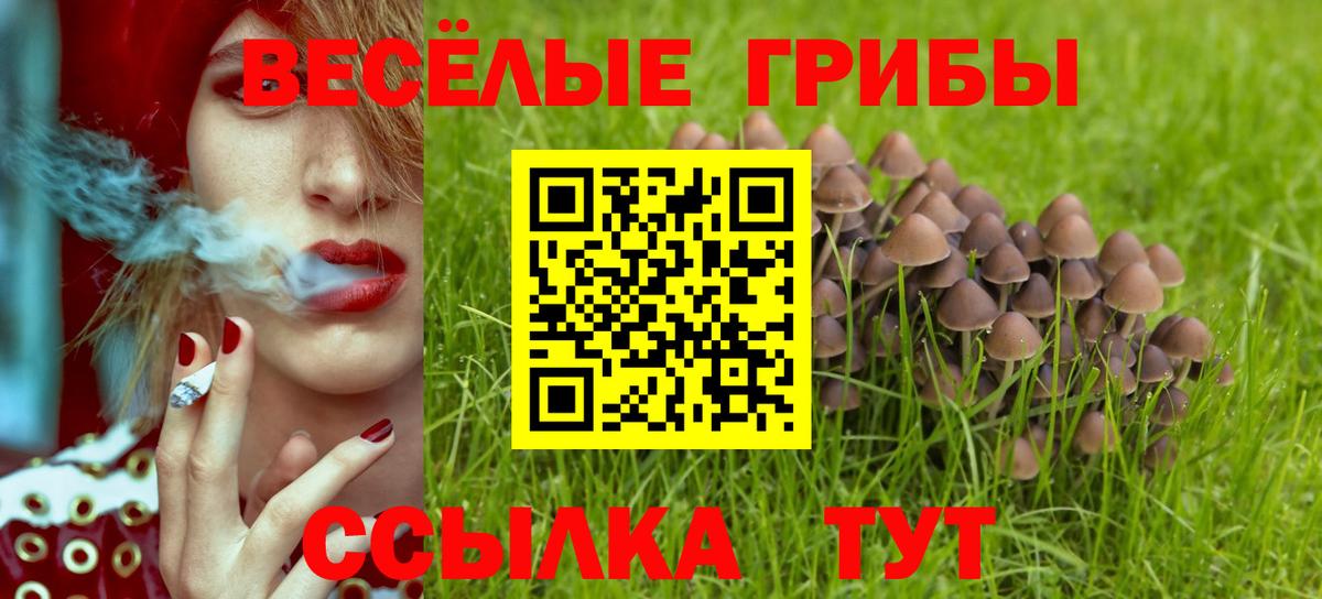 Псилоцибиновые грибы MAGIC MUSHROOMS Владимир